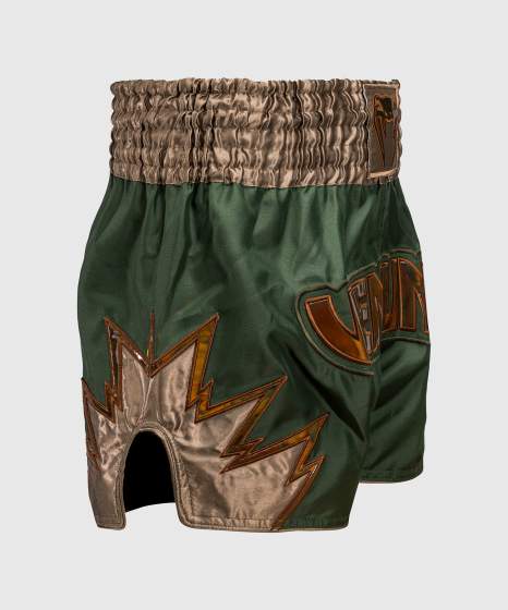 Venum Muay Thai Shorts Inferno, Khaki-Bronze 4