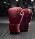 Hayabusa Boxhandschuhe E1, Rot 3