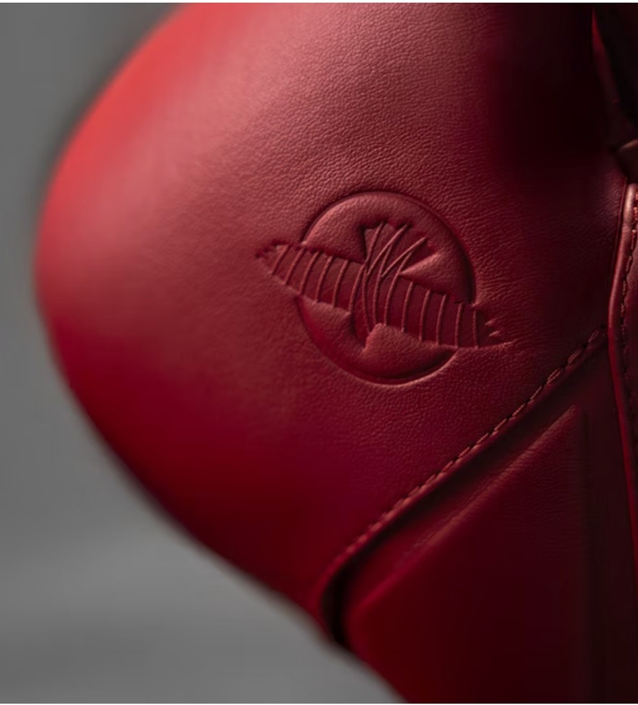 Hayabusa Boxhandschuhe E1, Rot 5
