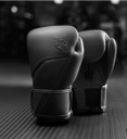 Hayabusa Boxhandschuhe E1, Schwarz 7