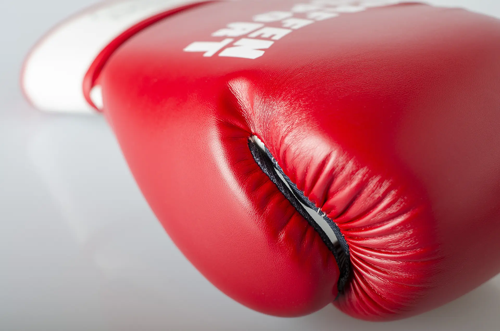 Paffen Sport Boxhandschuhe Fit, Rot