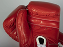 Paffen Sport Boxhandschuhe Pro Classic Fight mit Schnürung, Rot 2
