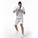 Hayabusa T-Shirt Training Lightweight, Hellgrau