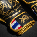 Phantom MMA Handschuhe Sparring Muay Thai LE, Schwarz-Gold