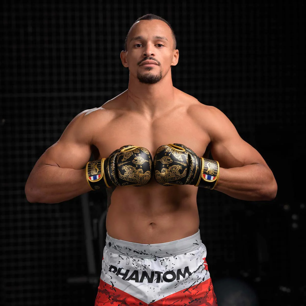 Phantom MMA Handschuhe Sparring Muay Thai LE, Schwarz-Gold