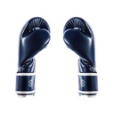 Fairtex Boxhandschuhe BGV14 3 b