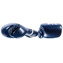 Fairtex Boxhandschuhe BGV14 4 b