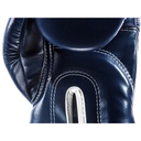 Fairtex Boxhandschuhe BGV14 5 b