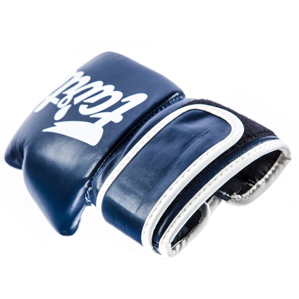 Fairtex Boxhandschuhe BGV14 6 b