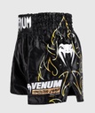 Venum Muay Thai Shorts VTC Flames, Schwarz-Gold 3