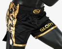 Fairtex Muay Thai Shorts Glory BSG1 angle