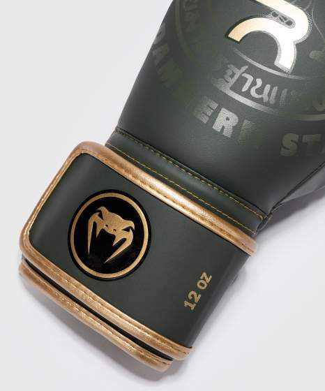 Venum Boxhandschuhe Rajadamner, Grün 5