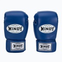 Windy Boxhandschuhe Classic Kunstleder, Blau 2
