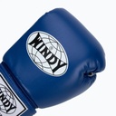Windy Boxhandschuhe Classic Kunstleder, Blau 5