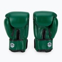 Windy Boxhandschuhe Classic Leder, Grün 3