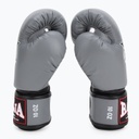 Raja Boxhandschuhe Standard Kunstleder, Grau 4