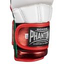Phantom MMA Sparring Handschuhe Mexico, Weiß-Grün-Rot 4