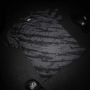 Phantom T-Shirt Evo-Camo Tiger, Schwarz 6