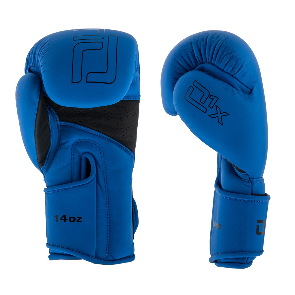 Quantum Boxhandschuhe Q1X, Blau