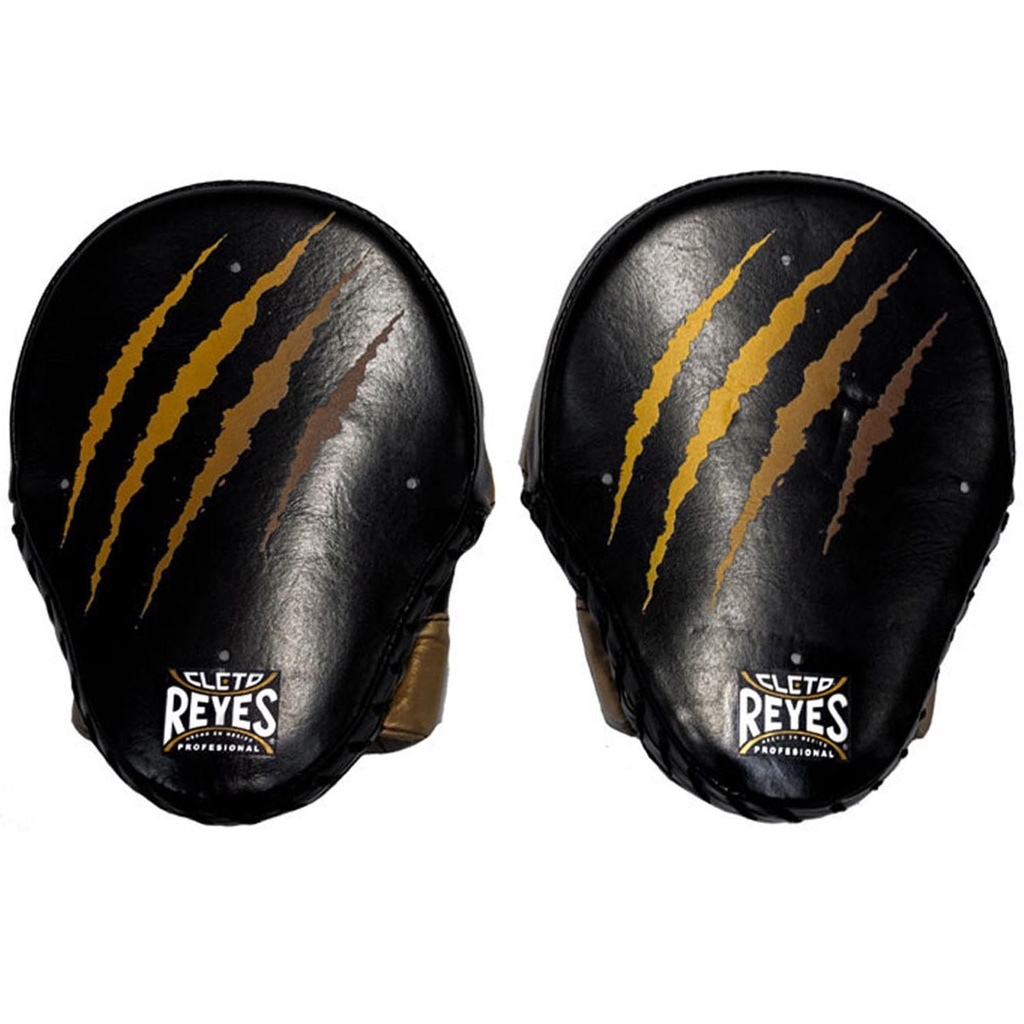 Cleto Reyes Boxpratzen Tiger 2