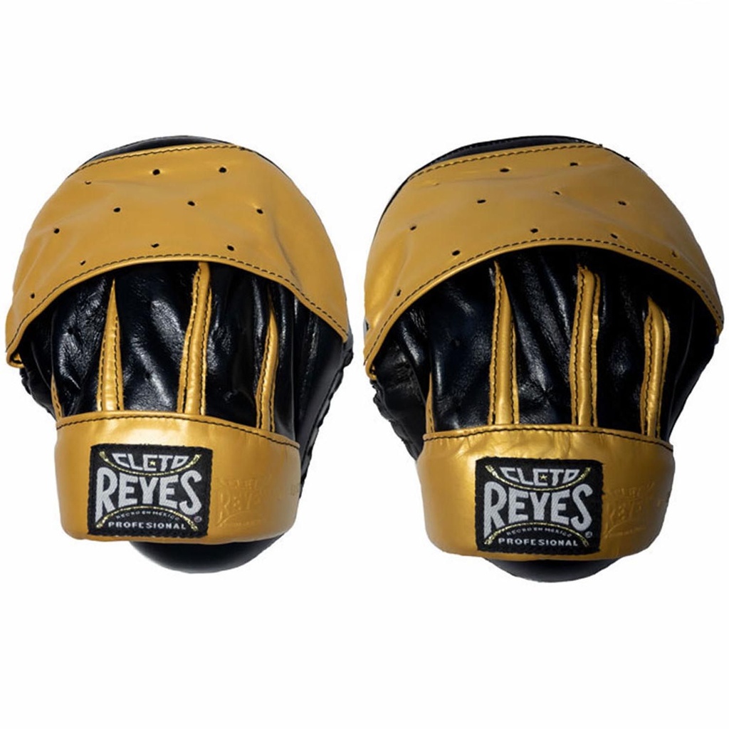 Cleto Reyes Boxpratzen High Performance, Gold 3