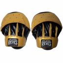 Cleto Reyes Boxpratzen Tiger 3