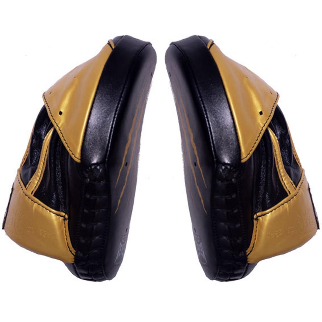 Cleto Reyes Boxpratzen High Performance, Gold 4