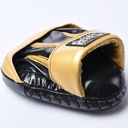 Cleto Reyes Boxpratzen High Performance, Gold 5