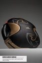 Rival Punch Shield RPS100 Professional, Schwarz-Gold 4