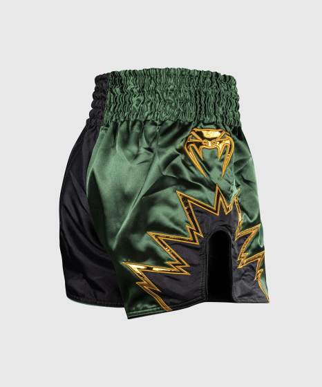 Venum Muay Thai Shorts Inferno 2.0, Schwarz-Khaki 4
