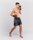 Venum Fight Shorts Midnight Fury, Schwarz-Silber 4