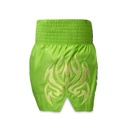 Top King Muay Thai Shorts TKTBS-253, Grün 3