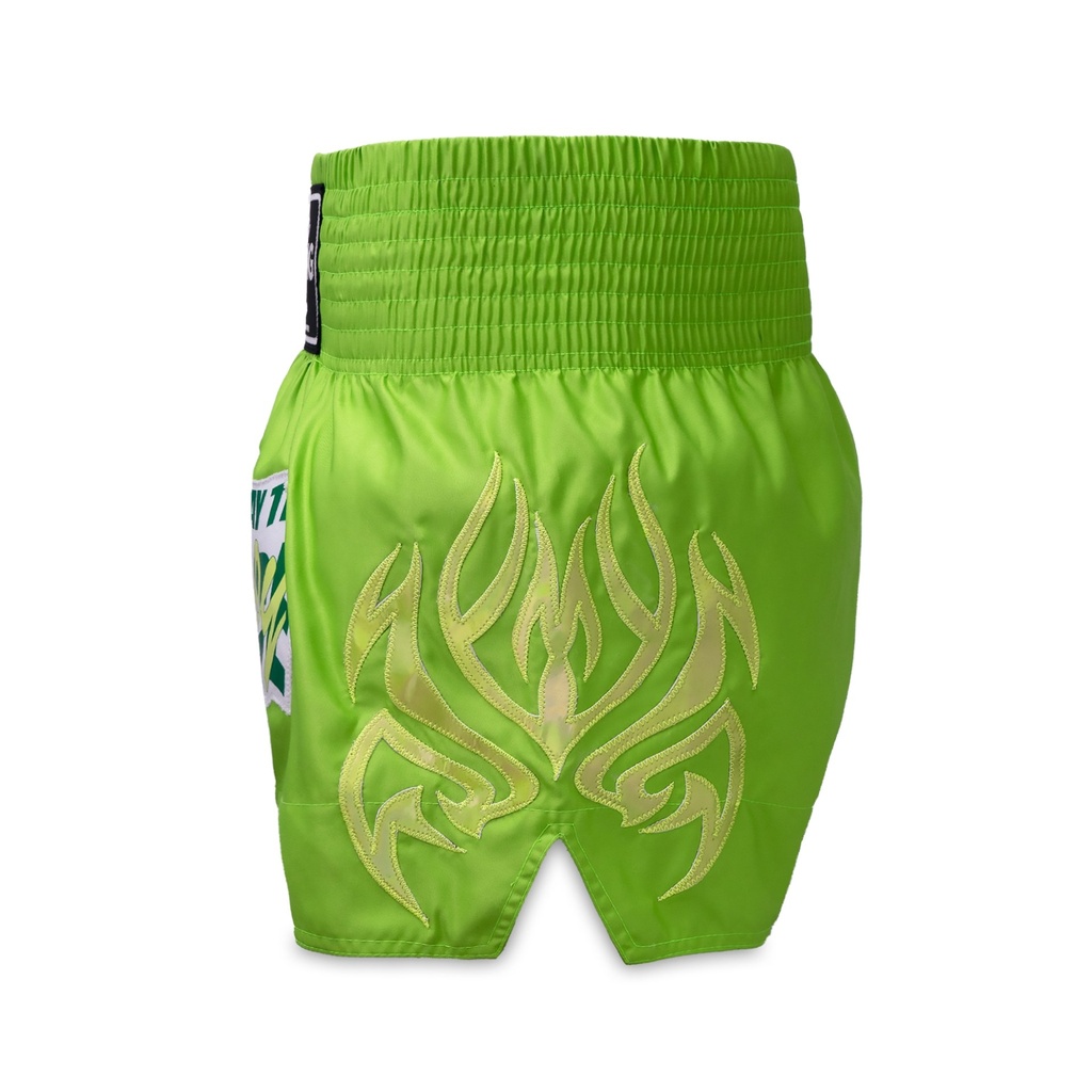 Top King Muay Thai Shorts TKTBS-253, Grün 4