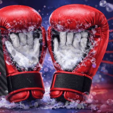 Xzone Magic Gloves zur Boxhandschuh Desinfektion