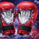 Xzone Magic Gloves zur Boxhandschuh Desinfektion