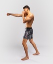 Venum Fight Shorts Demon, Schwarz-Grau 3