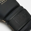 Leone Boxhandschuhe Edition, Schwarz-Gold 7