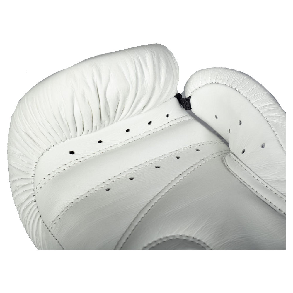 Paffen Sport Boxhandschuhe Stealth