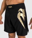 Venum Fight Shorts Light 5.0, Schwarz-Gold 6