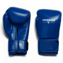 Hayabusa Boxhandschuhe Pro