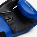 Hayabusa Boxhandschuhe S4 Junior Epic Flames