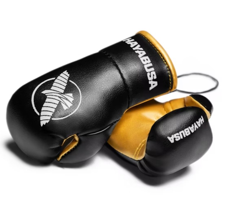 Hayabusa Mini Boxhandschuhe, Schwarz-Gold 2