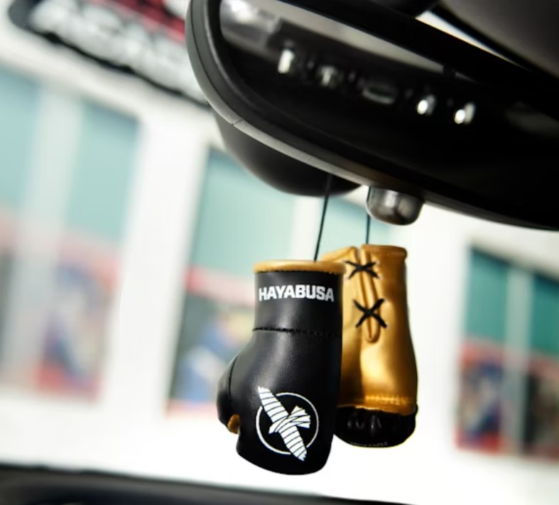Hayabusa Mini Boxhandschuhe, Schwarz-Gold 6
