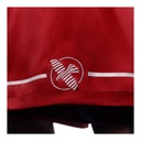 Hayabusa Boxhose Pro, Rot 4