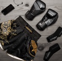 Hayabusa Muay Thai Shorts Falcon