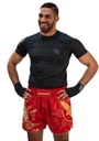 Hayabusa Muay Thai Shorts Falcon