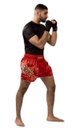 Hayabusa Muay Thai Shorts Falcon