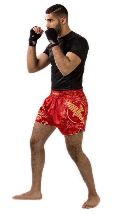 Hayabusa Muay Thai Shorts Falcon