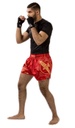 Hayabusa Muay Thai Shorts Falcon