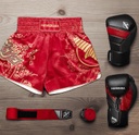 Hayabusa Muay Thai Shorts Falcon